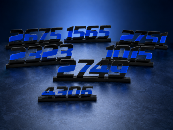 Personalized Blue Line Badge Name/Number