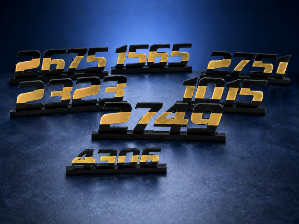 Personalized Gold Line Badge Name/Number